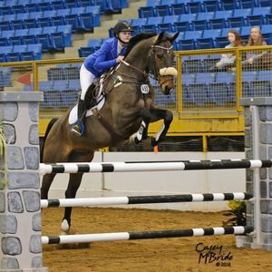 Meet your Posher, Delaney